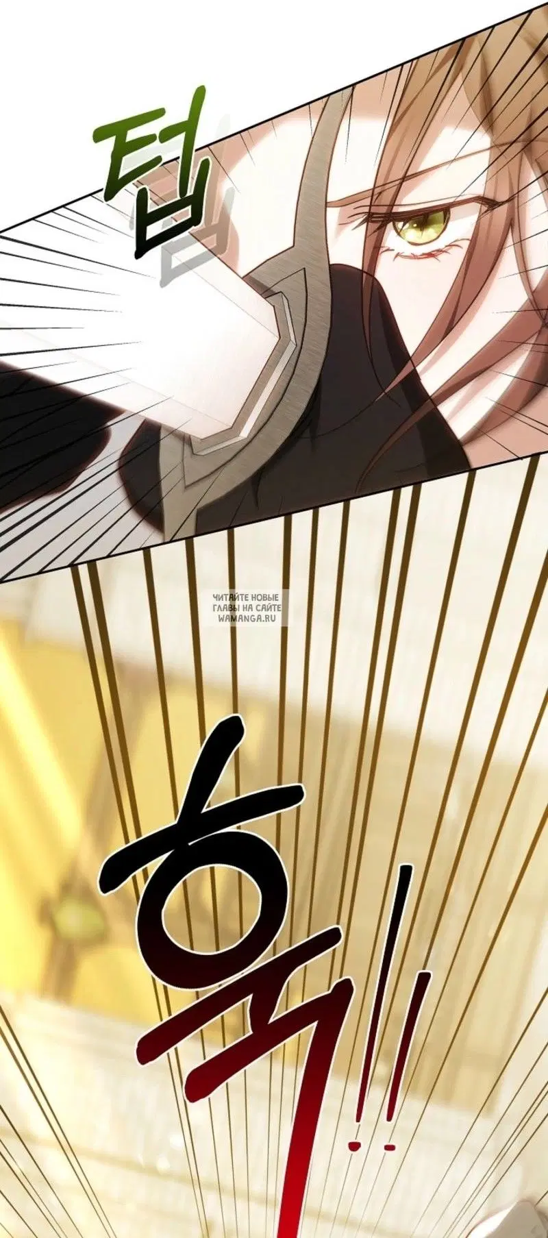 Page 51.000