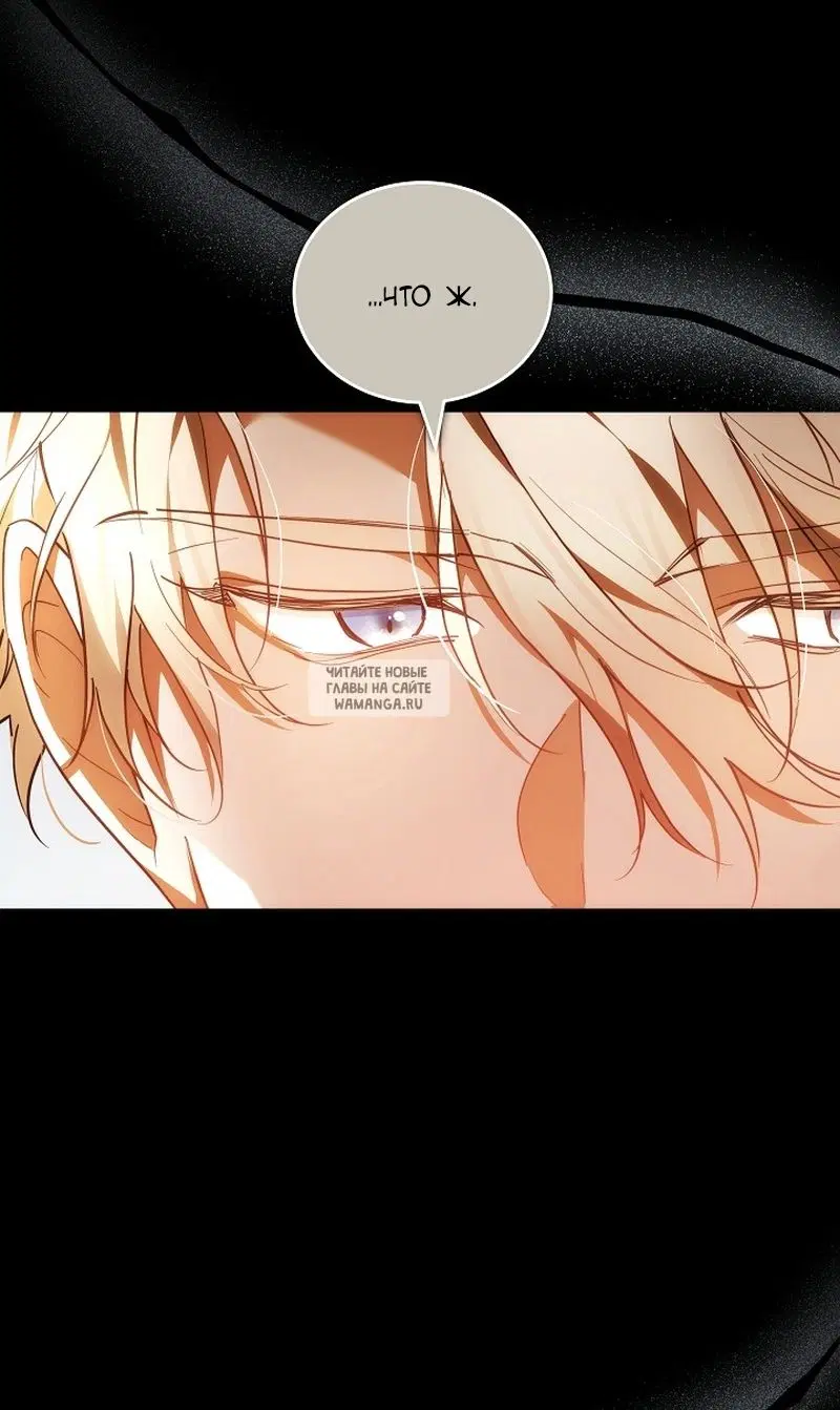Page 51.000
