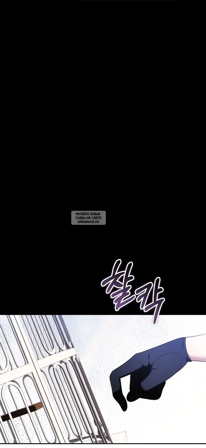 Page 51.000