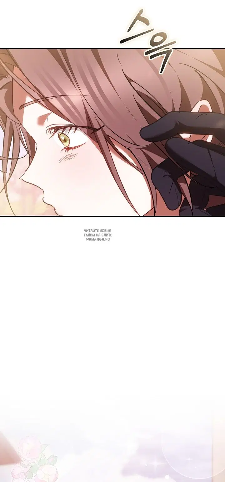 Page 61.000