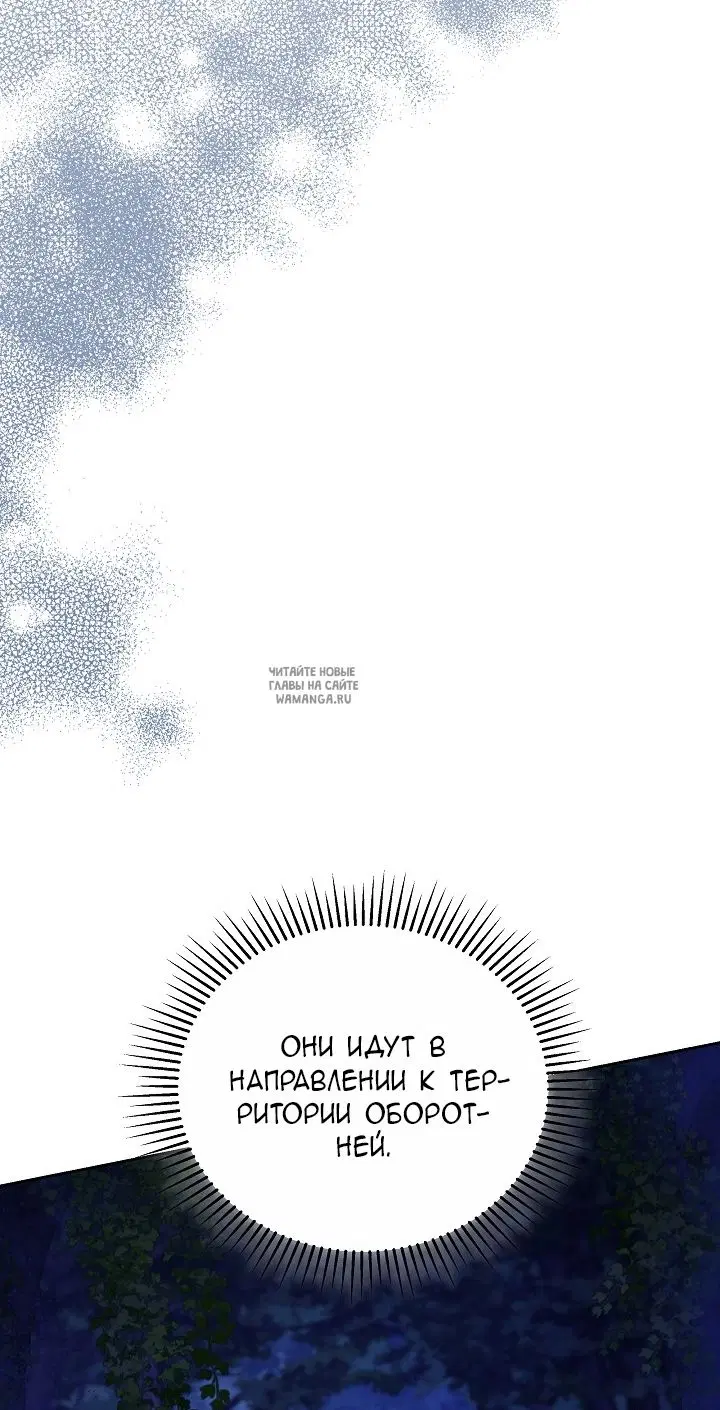 Page 71.000