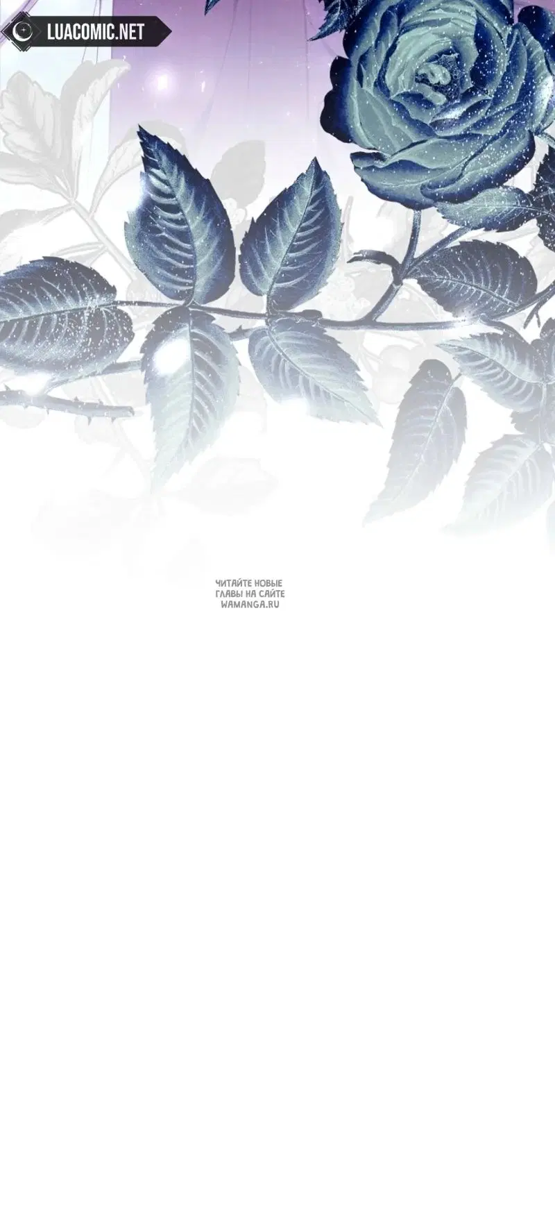 Page 88.000