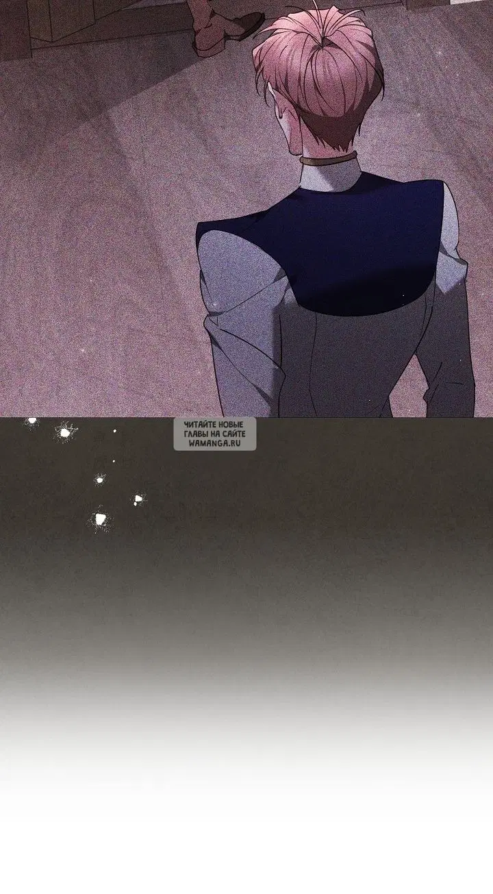 Page 81.000