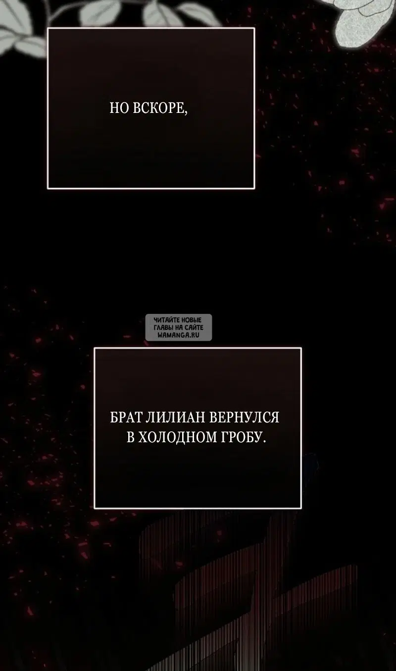 Page 81.000
