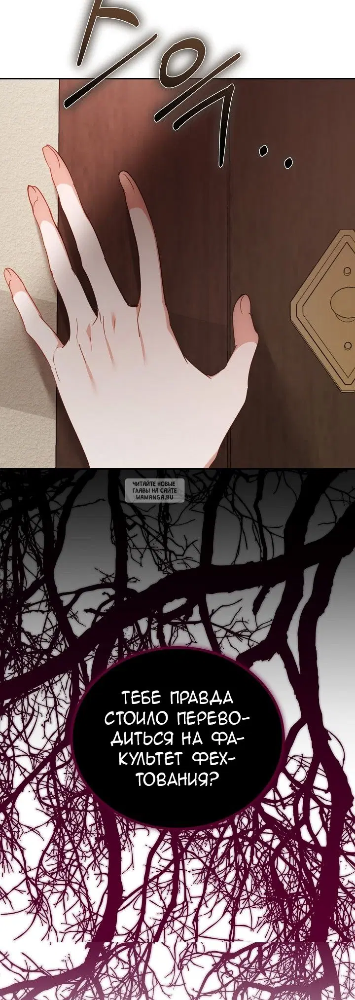 Page 81.000
