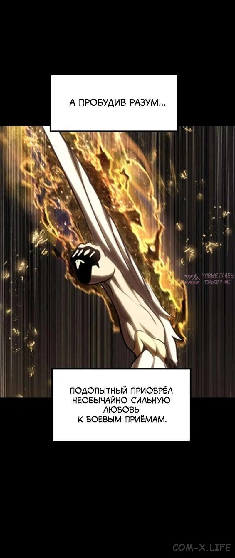 Page 11.000000000