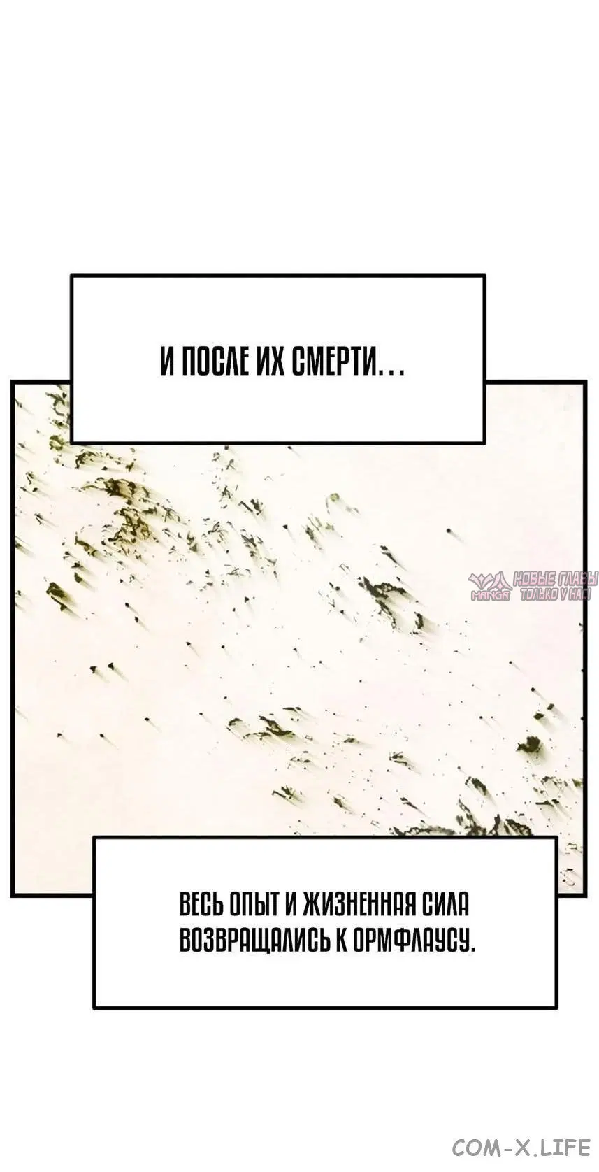 Page 36.000000000