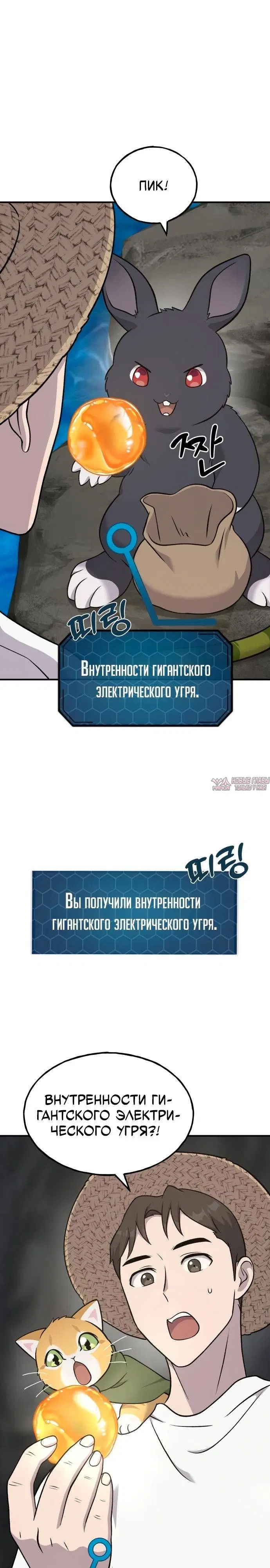 Page 8.000
