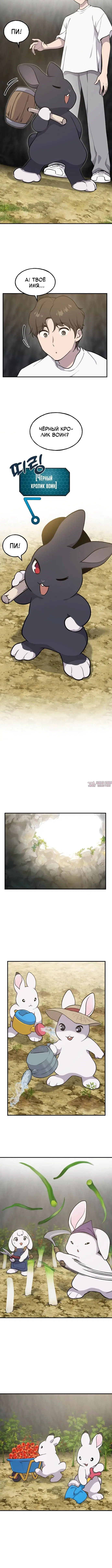 Page 3.001