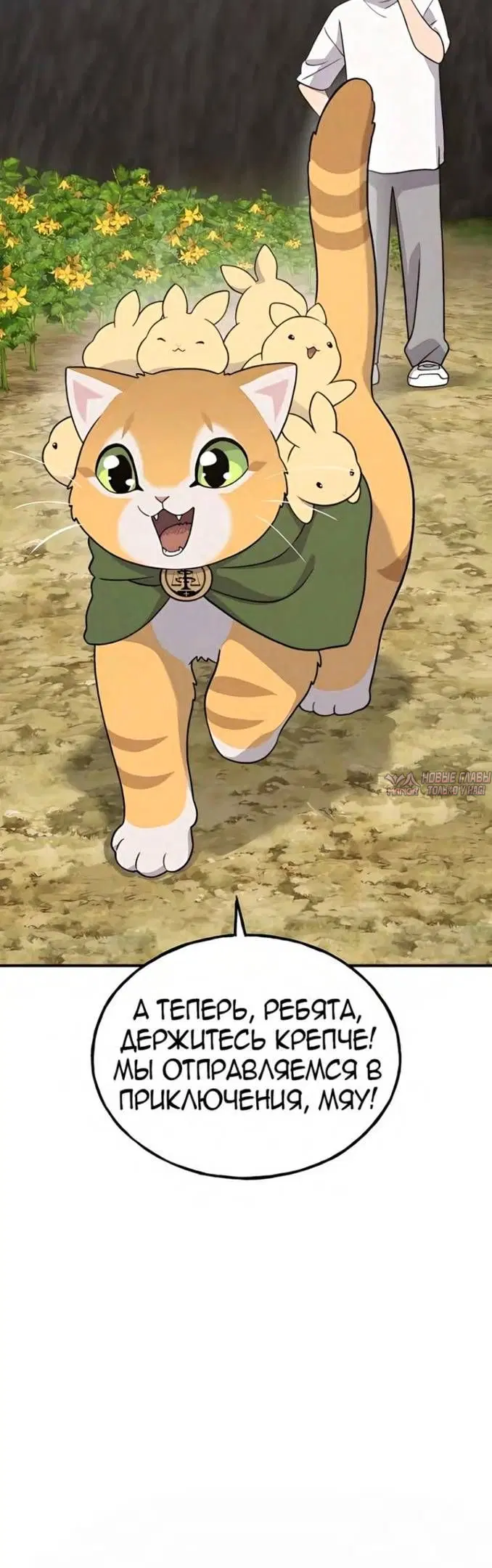 Page 14.000