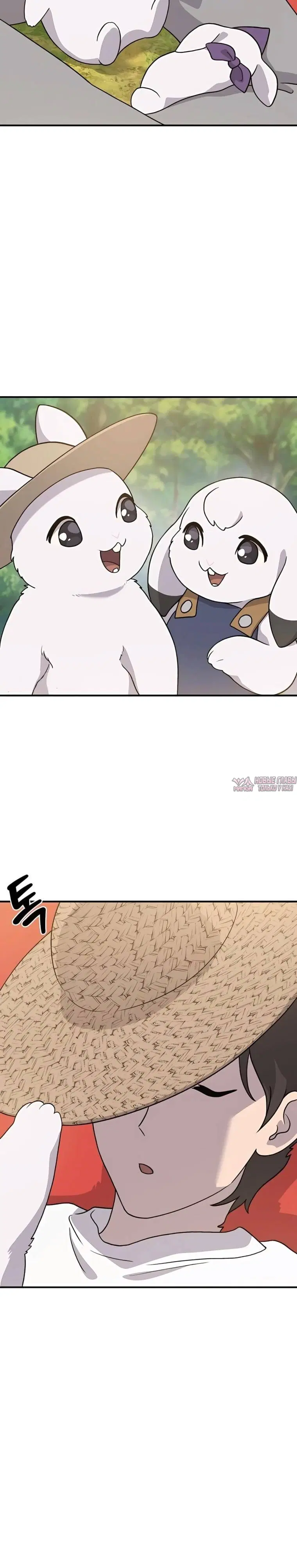 Page 16.000
