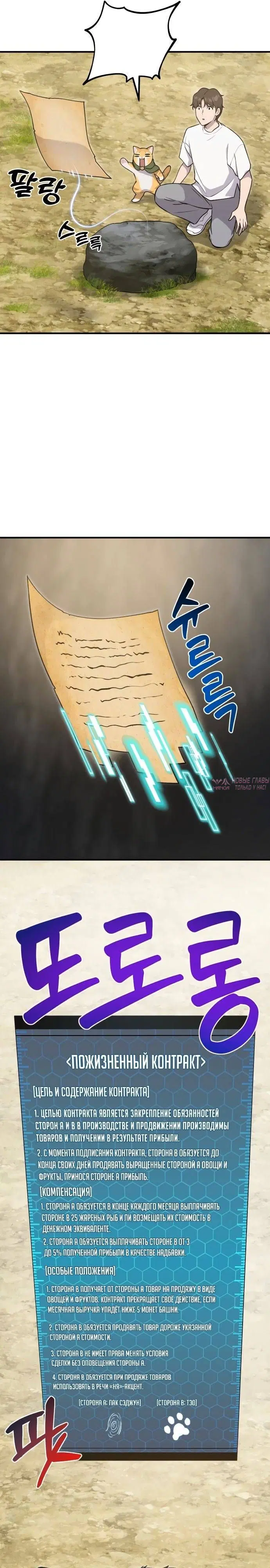 Page 16.000