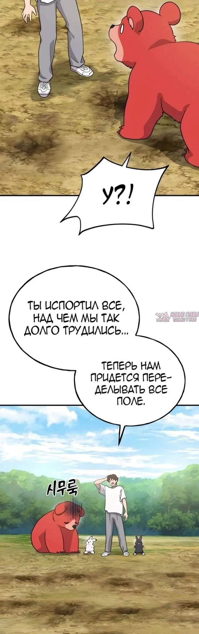 Page 16.000