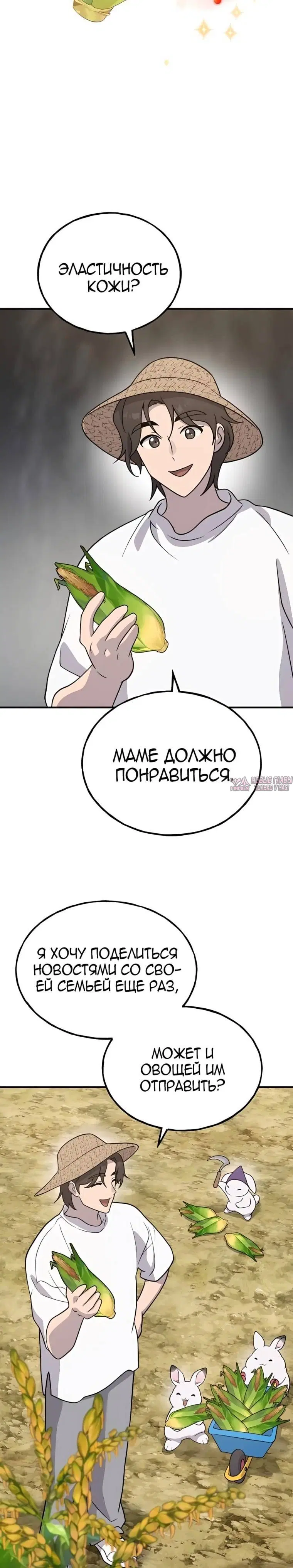 Page 17.000