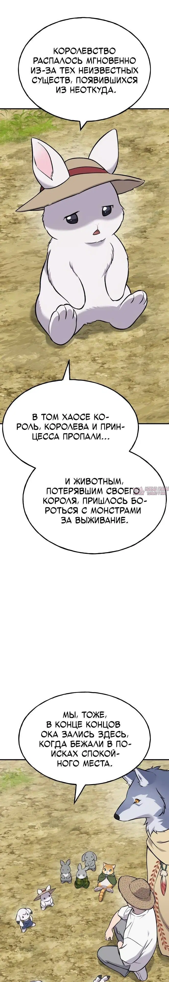 Page 17.000