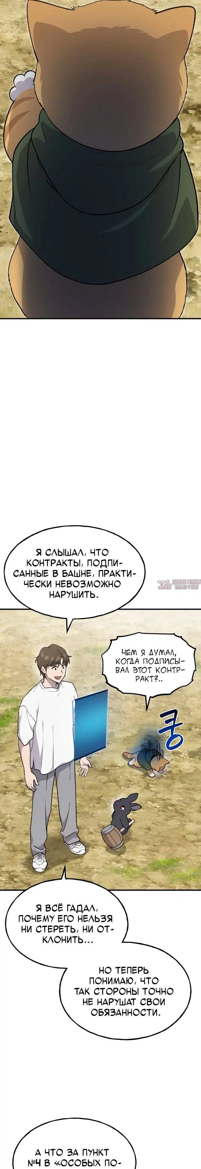 Page 17.000