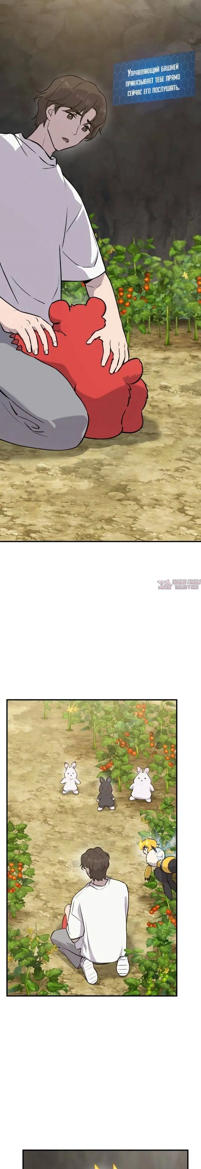 Page 17.000