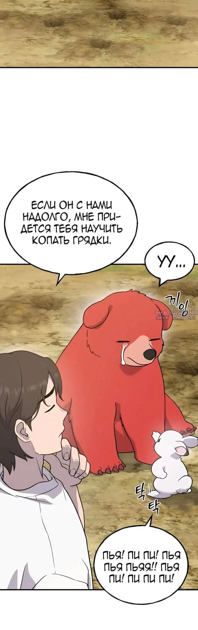 Page 17.000