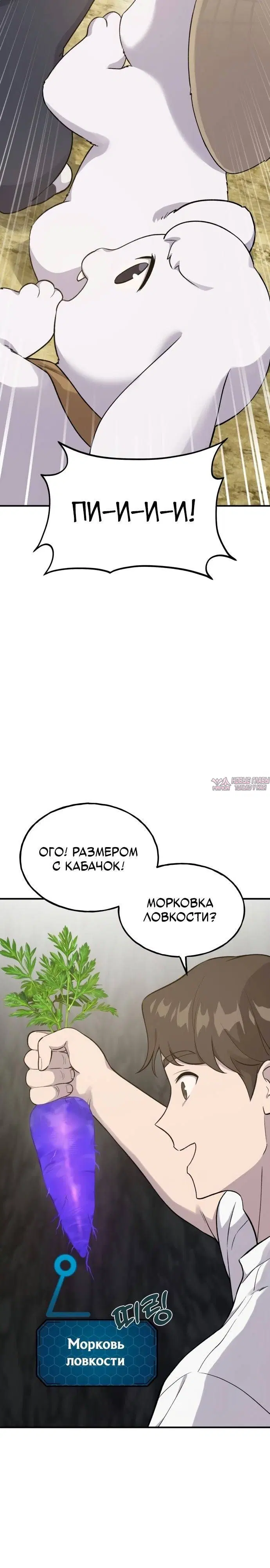 Page 19.000