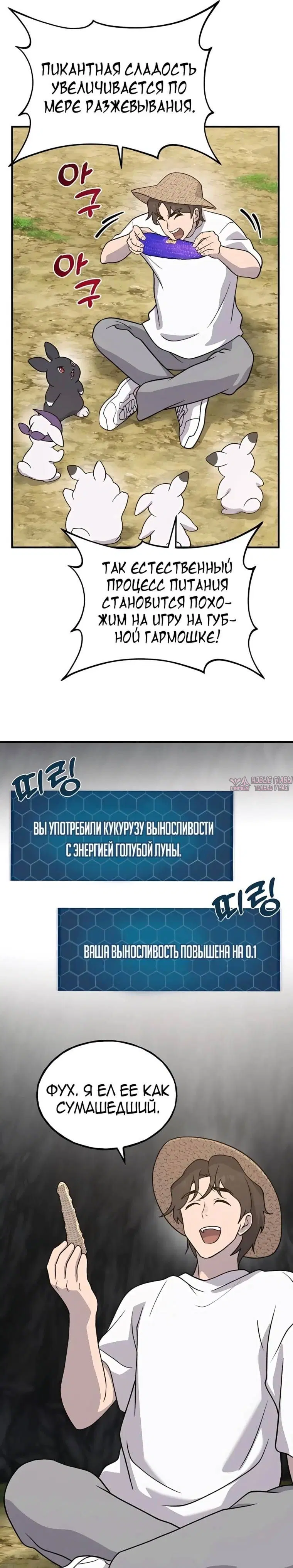 Page 13.000