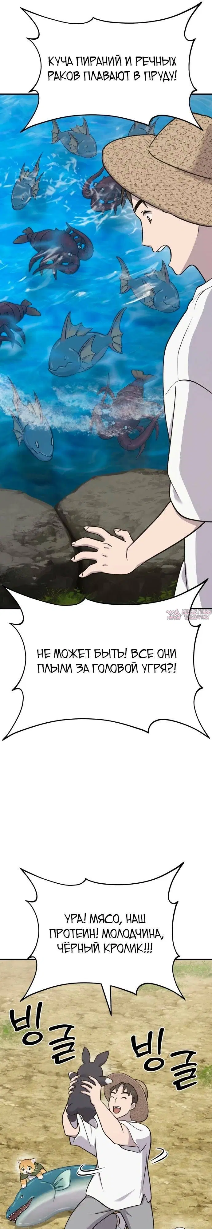 Page 13.000