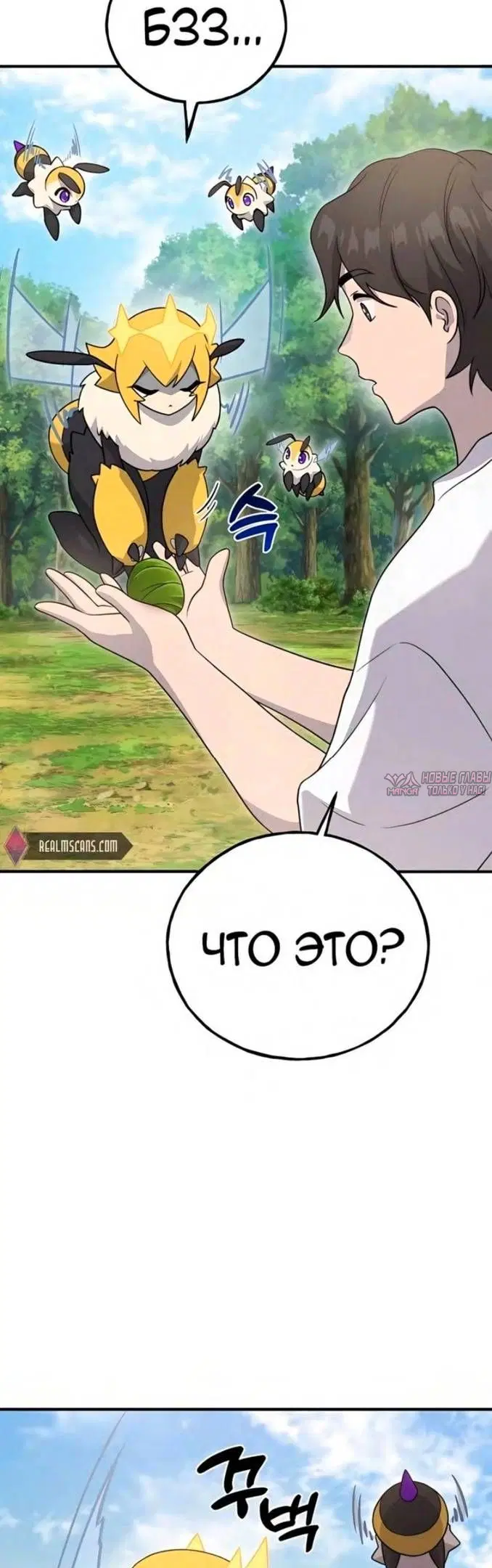 Page 13.000