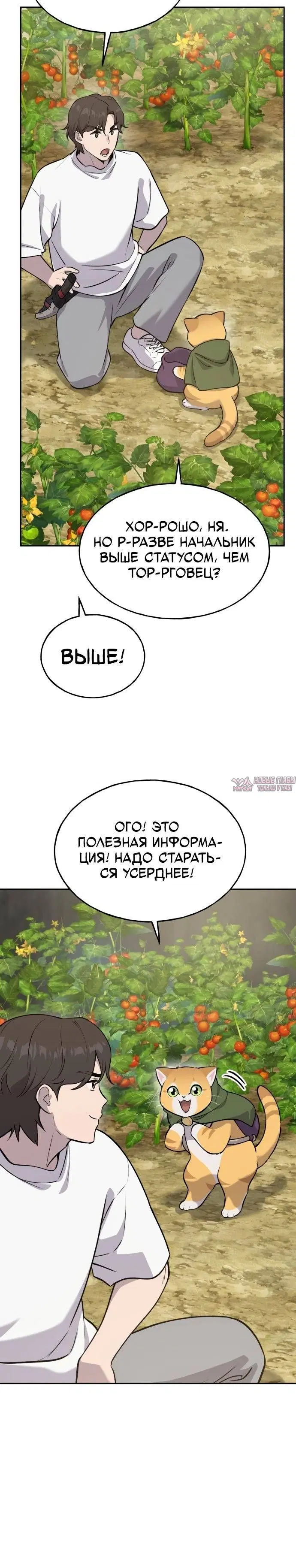 Page 24.000