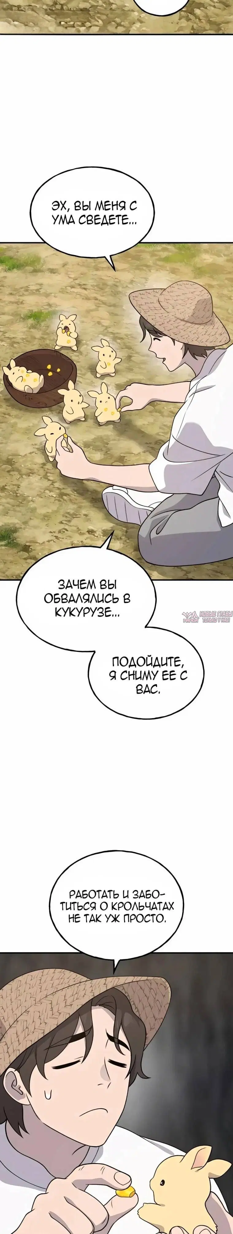 Page 25.000