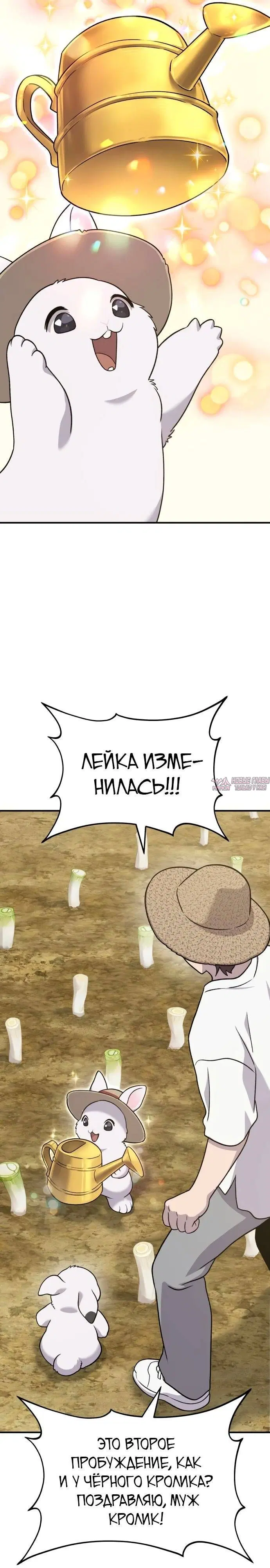 Page 25.000