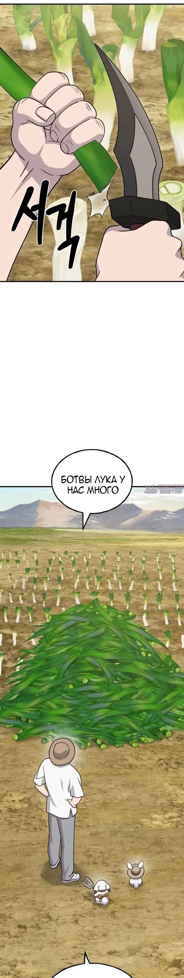 Page 25.000