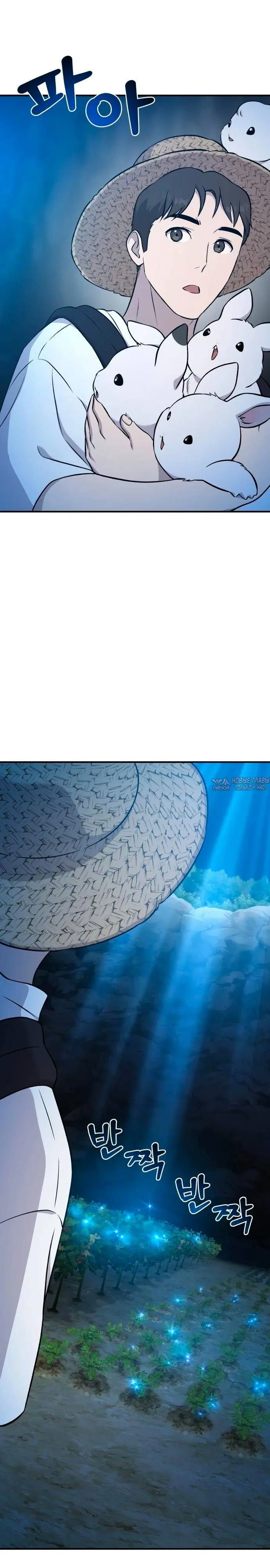 Page 25.000