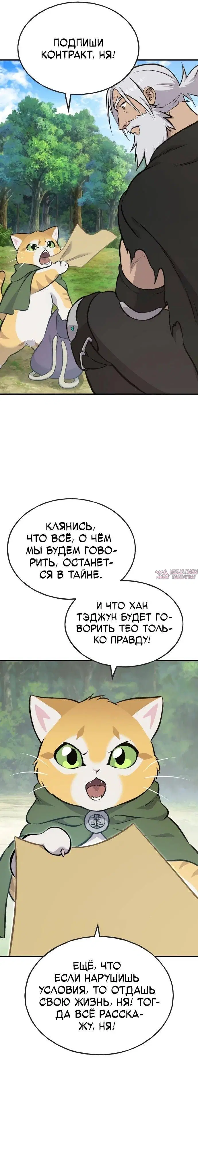 Page 25.000