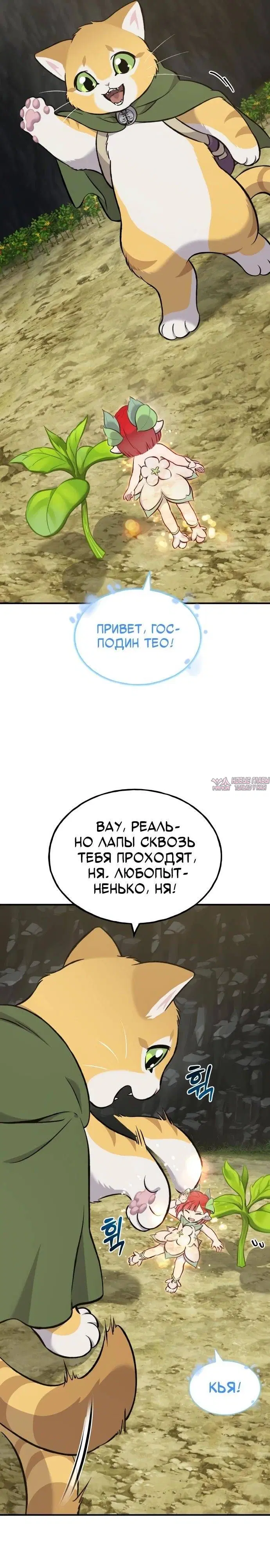 Page 25.000