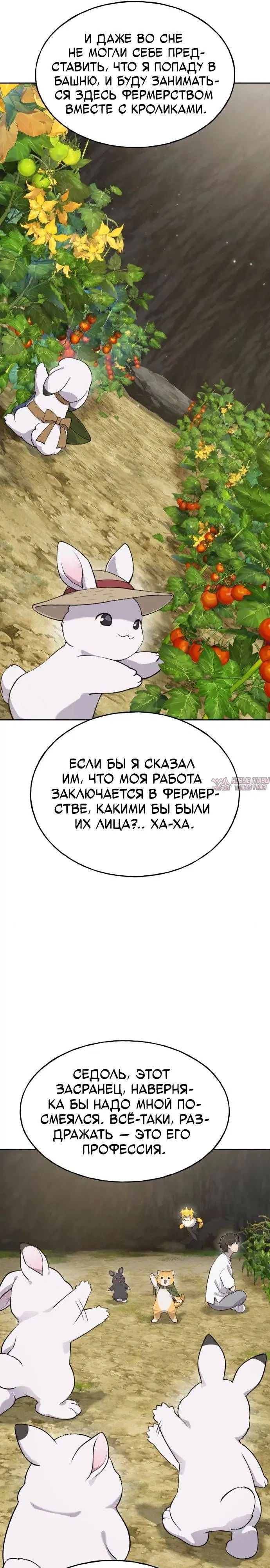 Page 25.000