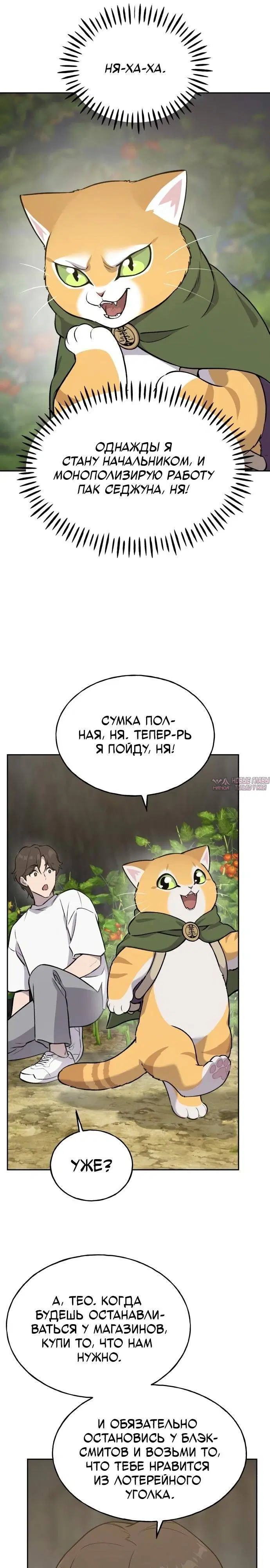 Page 25.000