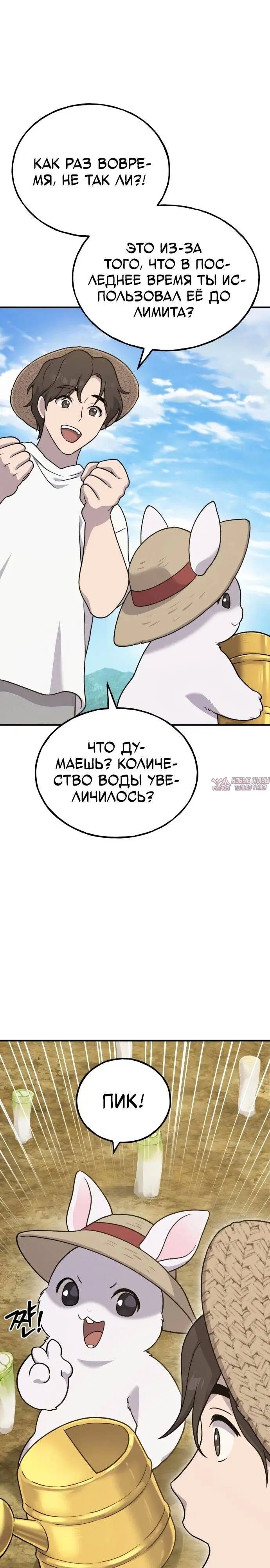Page 26.000