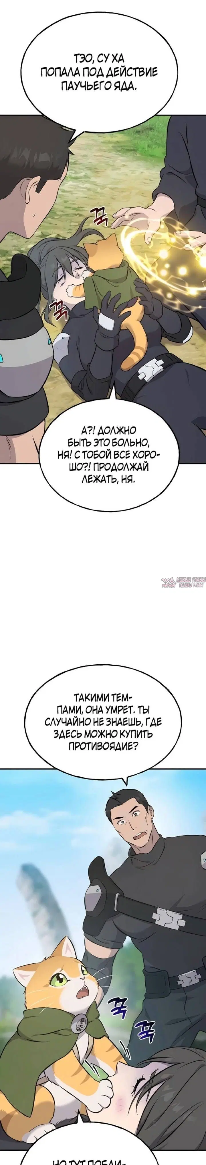 Page 26.000