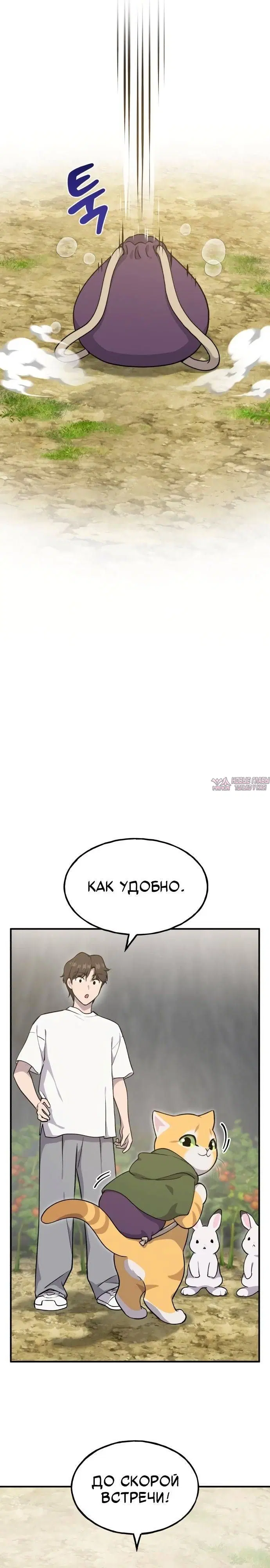 Page 26.000