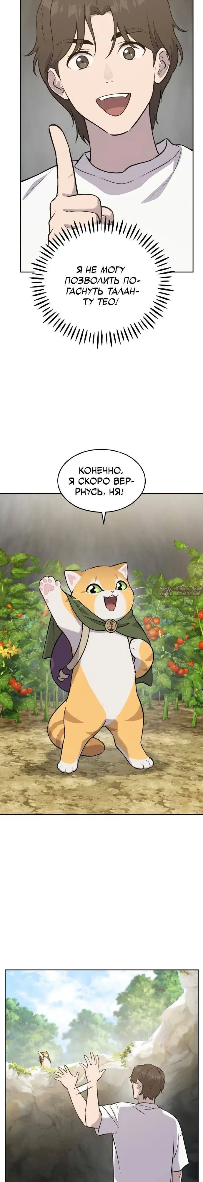 Page 26.000