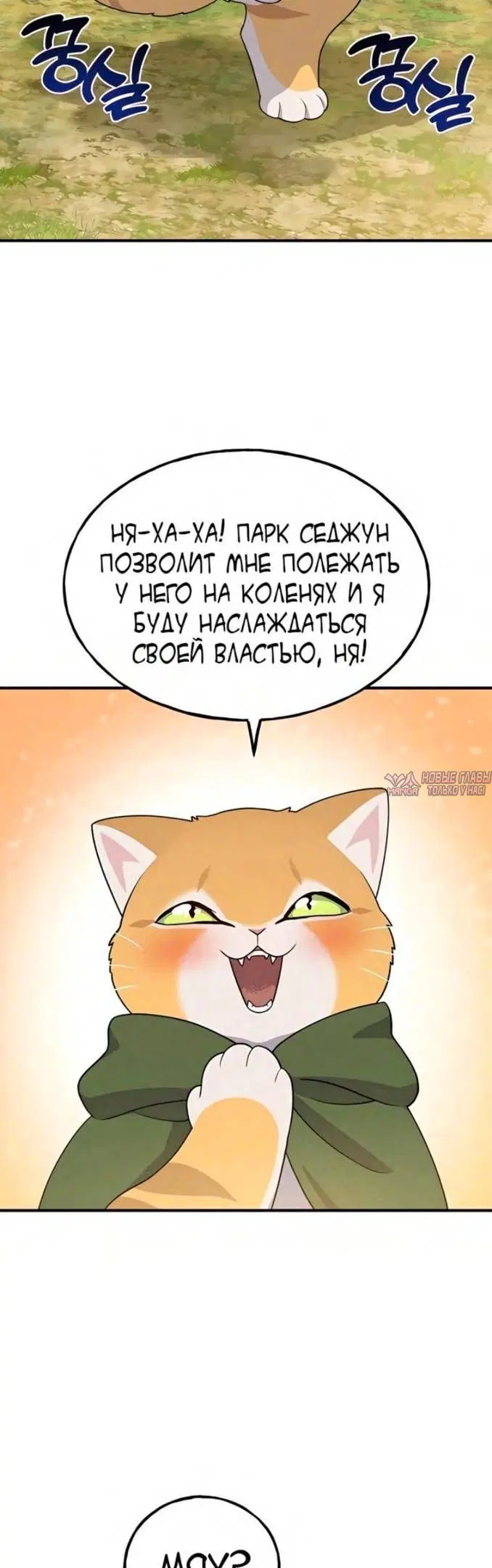 Page 26.000