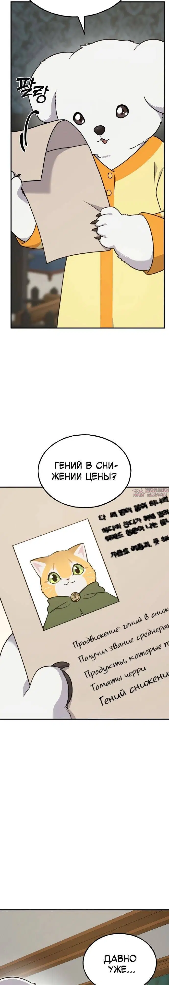 Page 27.000