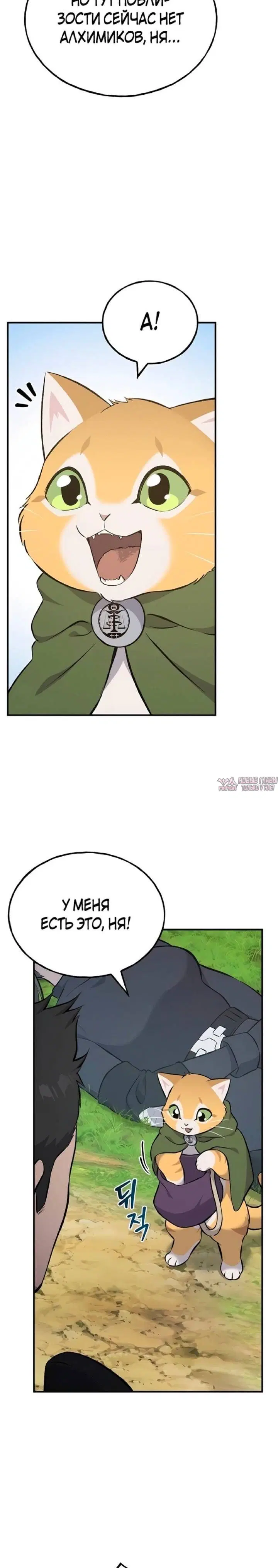 Page 27.000
