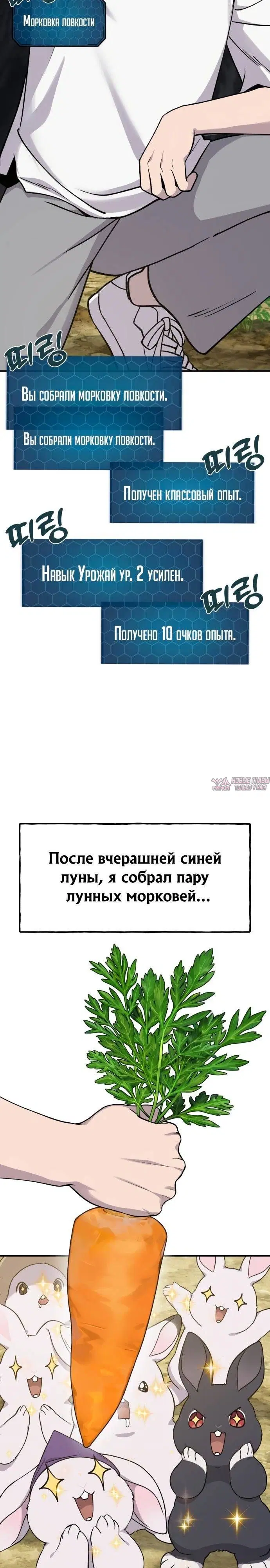 Page 27.000