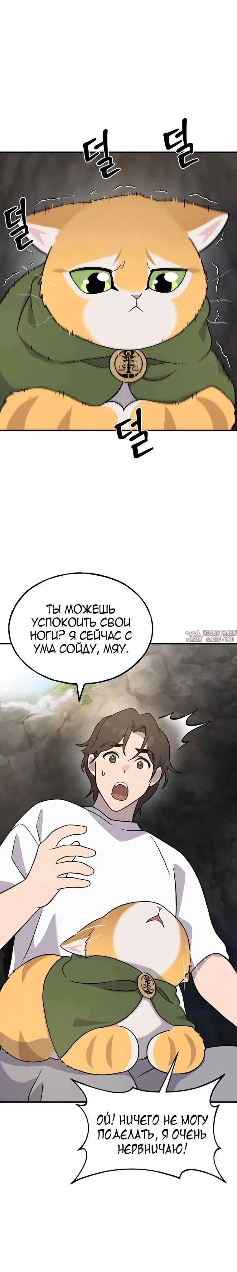 Page 28.000