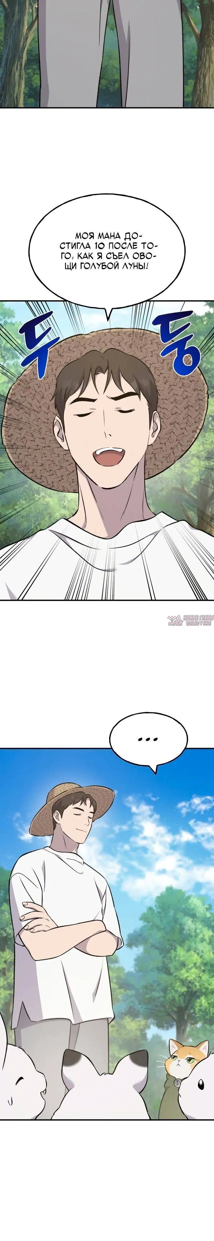 Page 28.000