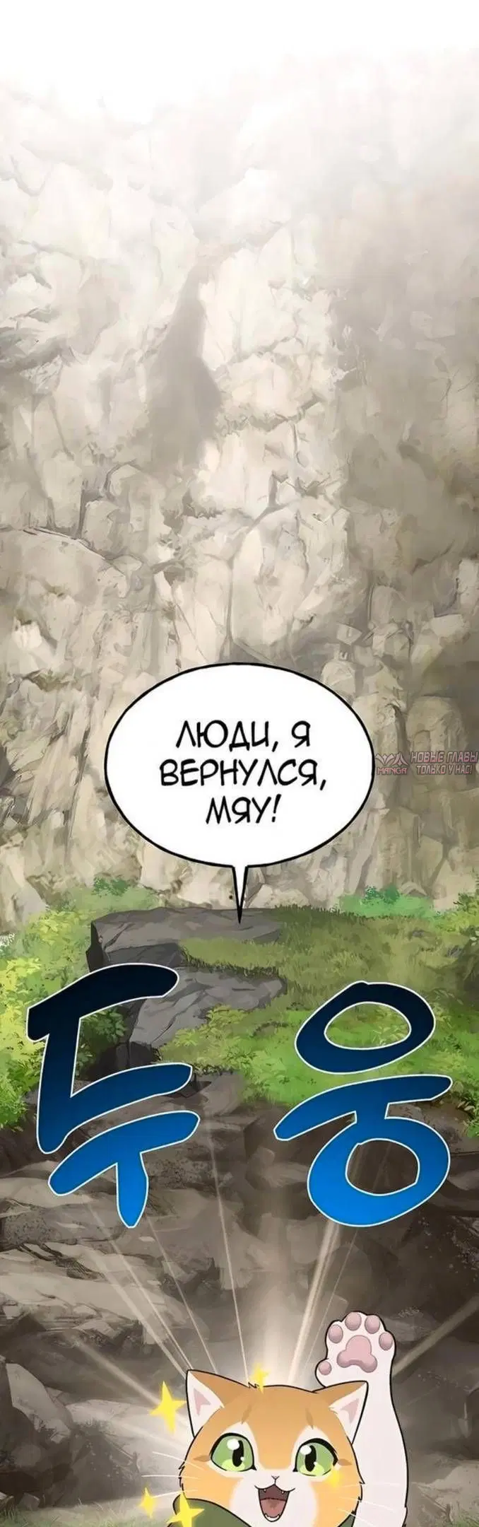 Page 29.000