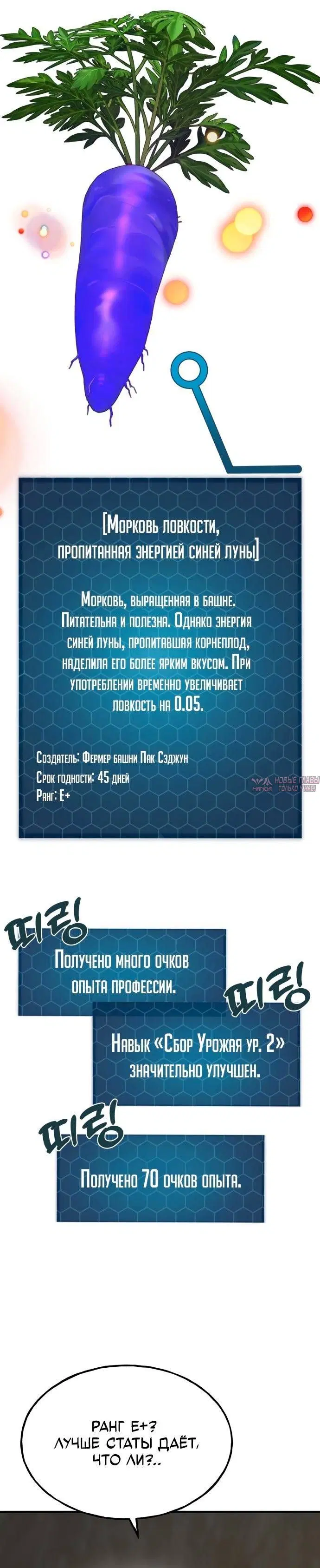 Page 20.000