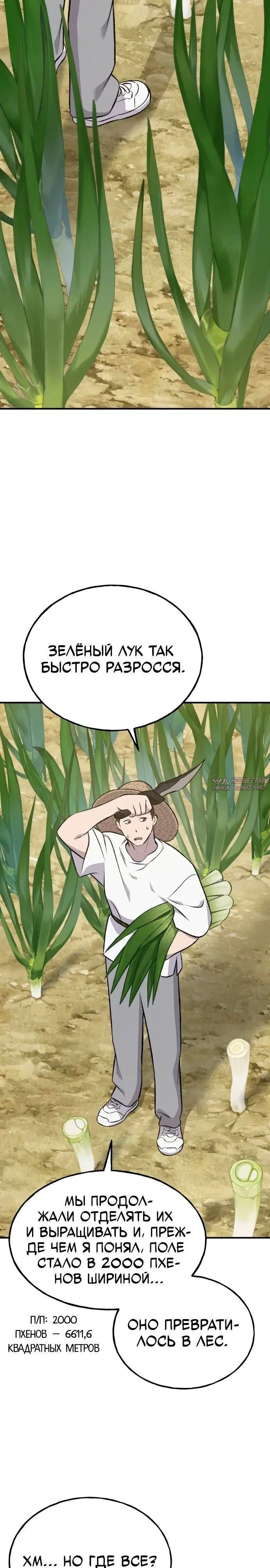 Page 21.000
