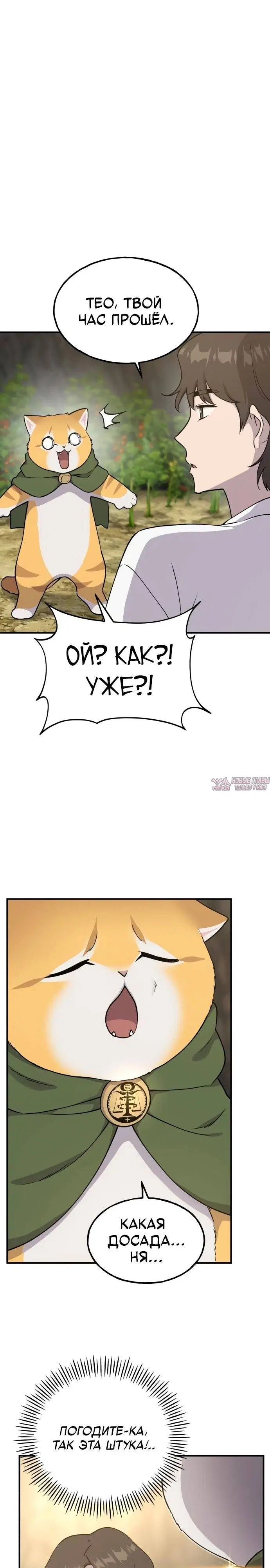 Page 21.000