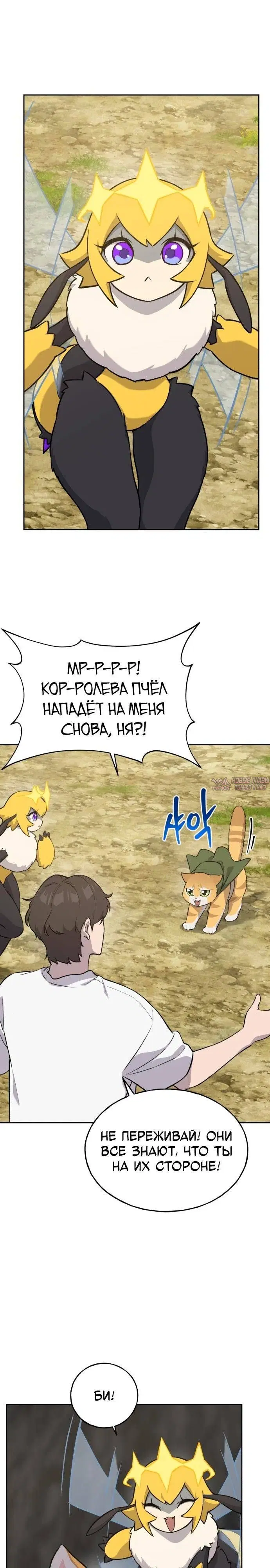 Page 21.000